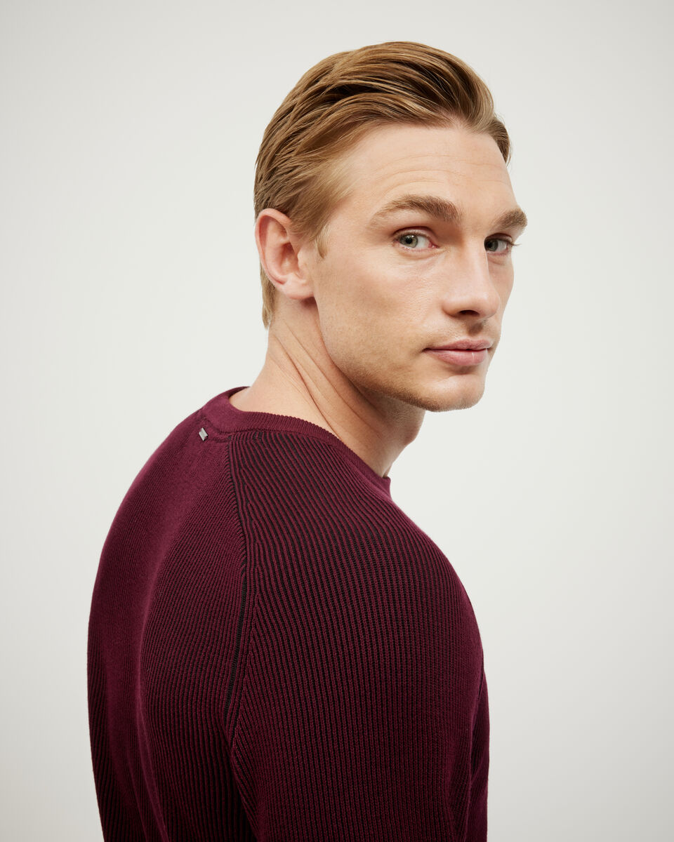 Two-Toned Crew Neck Knit, Burgundy, hi-res